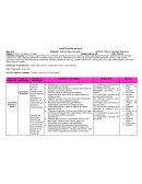 Planificación Mi barrio, mi familia y mi hogar