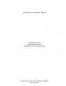 Analisis del cantar del mio cid