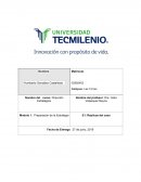 DIRECCION ESTRATEGICA. Preparación de la Estrategia