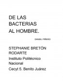 DE LAS BACTERIAS AL HOMBRE