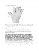 PROYECTO INVESTIGACION GUANTES NITRILO
