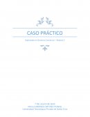 CASO PRÁCTICO Gerencia Comercial