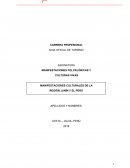 MANIFESTACIONES CULTURALES DE LA REGIÓN JUNÍN Y EL PERÚ