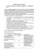 AUDITORIA COMERCIAL “EL TRIANGULITO S.A.A.”