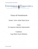 Ensayo de normalización