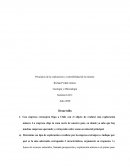 Principios de la exploración y sostenibilidad de la minería. Geología y Mineralogía