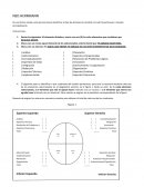 Ejercicio Práctico NED HERRMANN