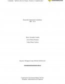 Desarrollo Empresarial Colombiano NRC -3119