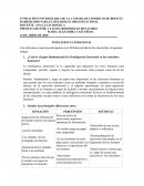 HABILIDADES PARA EL DESAROLLO ORGANIZACIONAL. INTELIGENCIA EMOCIONAL