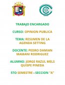 RESUMEN DE LA AGENDA SETTING