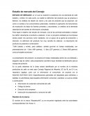 Estudio de mercado del Cafe