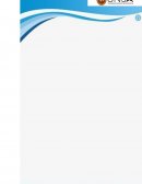 MICROECONOMIA “EMPRESA REINVENTADA EN EL PERÚ”