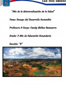 Ensayo del Desarrollo Sostenible (COVID-19)