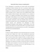 INFECCIÓN POR EL VIRUS EL CHIKUNGUNYA