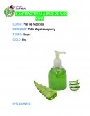 Plan de negocios. Antibacterial a basr de aloe vera