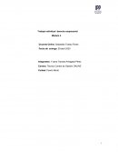 Trabajo individual derecho empresarial