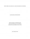 RELAVANCIA DE LA TOMA DE DECISIONES EN LAS EMPRESAS