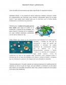 Identidad Cultural y Globalización