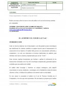 EL AUDITOR Y EL USO DE LAS TAAC