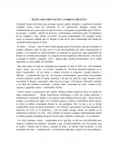 TEXTO ARGUMENTATIVO. CAMBIO CLIMATICO