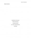 Método Absorbente “Identificación de Elementos”