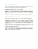 Análisis de la película: Forever Strong