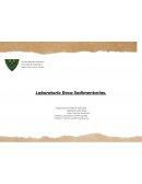 Laboratorio Roca Sedimentarias