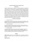 Formulación Estratégica empresa “Panelitas la cabra”