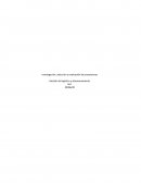 Investigación, selección y evaluación de proveedores Gestión de logística y almacenamiento