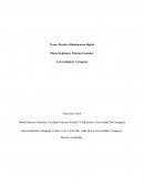 Reseña Alfabetización Digital