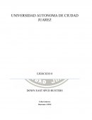 Administracion Down East Spud Busters