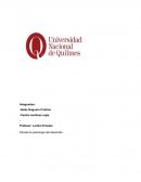 Parcial de psicología del desarrollo. Identidad Erik Erikson