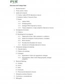 Estructura del Trabajo Final, yogurt