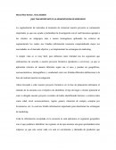 IMPORTANCIA DE LA SEGMENTACION DE MERCADOS