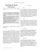 Topología de Redes Domesticas