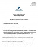 Observación, categorización y análisis de lo observado