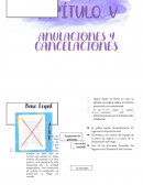 Anulaciones y Cancelaciones de Pólizas