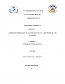COMERCIO INTERNACIONAL Y SU INCIDENCIA EN LA ECONOMÍA DE LAS NACIONES