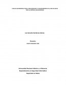 PLAN DE CONTINGENCIA PARA LA RECUPERACION Y FUNCIONAMIENTO DE LA RED DE DATOS PARA LA EMPRESA ASEGUREMONOS