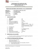 Protocolo de pericia psicologica