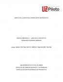 ASPECTOS CLAVES PAR LOGRAR DEFIR UN PROYECTO