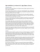 Agua potable en la amazonias IV: Agua Negra y Humus