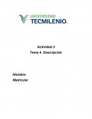 Actividad 3 Tema 4. Descripción