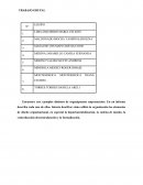 ORGANIGRAMAS_EMPREARIALES