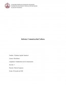 Informe problemática comunicación y cultura