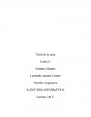 AUDITORÍA INFORMÁTICA
