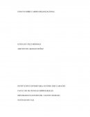 ENSAYO SOBRE CAMBIO ORGANIZACIONAL