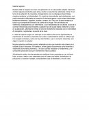 Proyecto de negocio adopción de mascotas