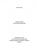 PROYECTO DE MEDICINA ESPECIAL Y SISTEMAS DE PRODUCCIÒN