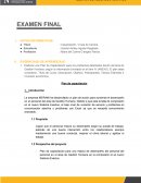 Caso empresa IBERAMIS